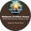 Melipona (Puthka) Honey Wildcrafted Bhutan Stingless Bee Nature’s Finest Elixir