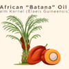 African Batana (Palm Kernel) Oil