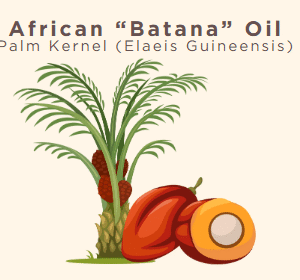 African Batana (Palm Kernel) Oil
